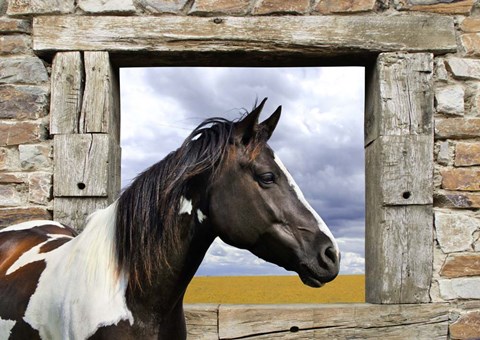 Framed Painted Horse Print