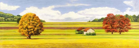 Framed Pianure Serene Print