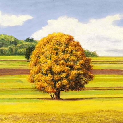 Framed Pianure Serene I (detail) Print