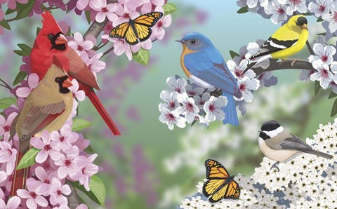 Framed Birds In Spring Blossom Print