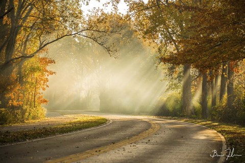 Framed Autumn Drive Print