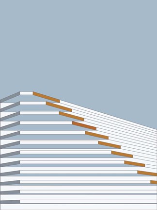 Framed Dusty Morning Pagoda Print