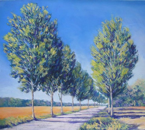 Framed Picardy Poplars IV Print