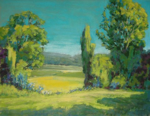 Framed View through the Trees II Print