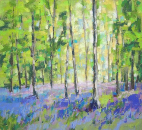 Framed Bluebell Woods III Print