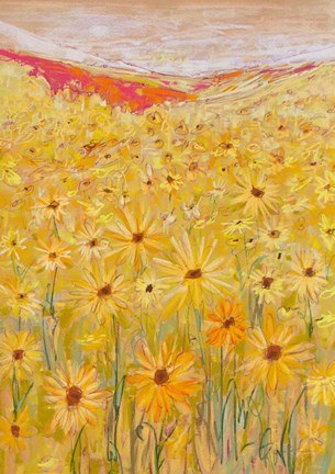 Framed Spanish Sunflowers V Print