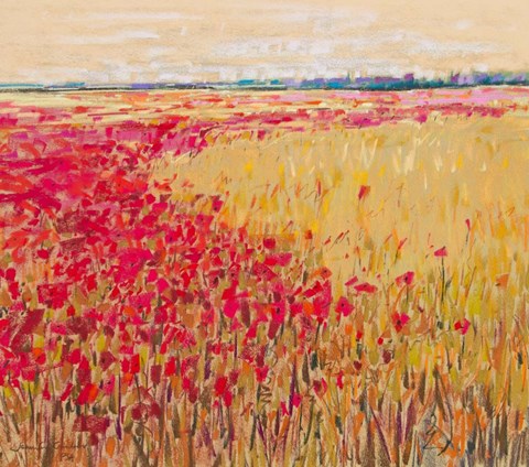 Framed Poppies Evening Light VII Print