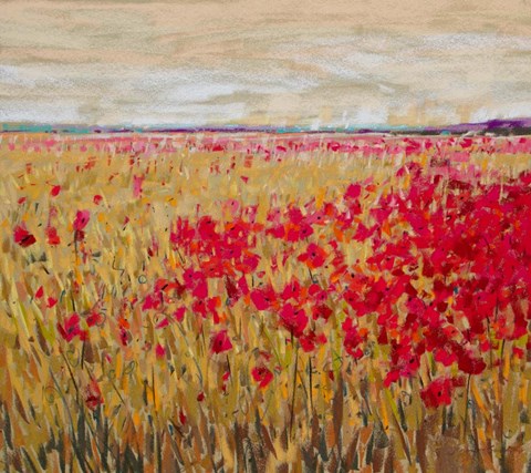 Framed Poppies Evening Light XII Print