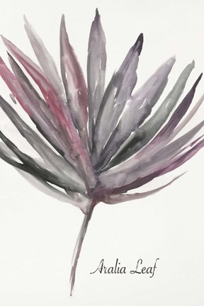 Framed Aralia Leaf Print