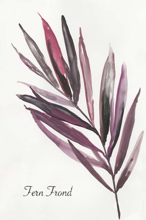 Framed Fern Frond Print