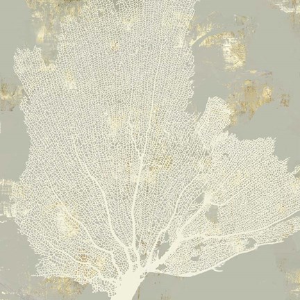 Framed Sea Coral I Print