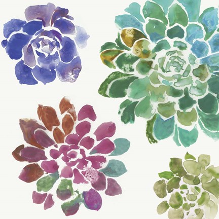 Framed Water Succulents II Print