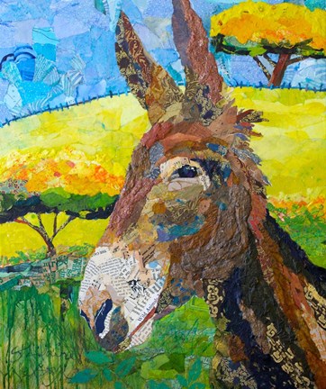 Framed Wild Jackass Print