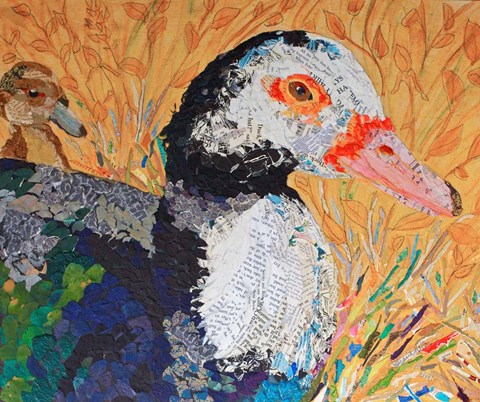 Framed And the Duck Said Quack Print