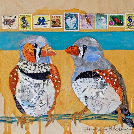 Framed Zebra Finch Lovebirds #4 Print