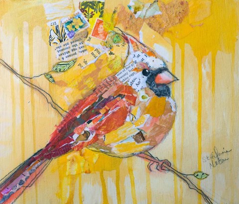 Framed Female Cardinal Print