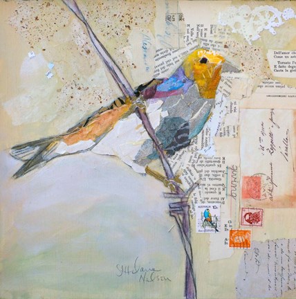 Framed Finch on White Print