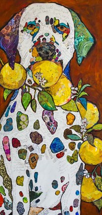 Framed Sour Spots Print