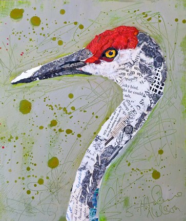 Framed Red Head Heron Print