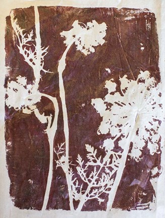 Framed Queen Anne 3 Print