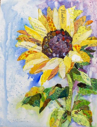 Framed Made in Italy Print