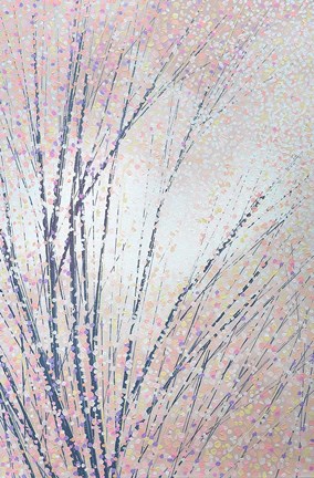 Framed Blush Pink Blossom Print