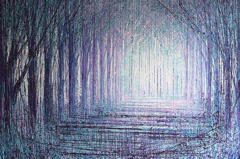 Framed Light In The Forest Print