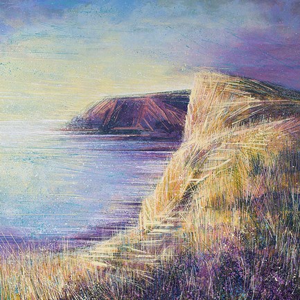 Framed Coastal Cliffs At Sunset Print