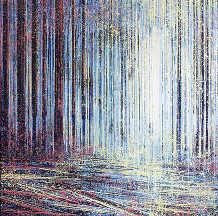 Framed Morning Light In The Forest Print