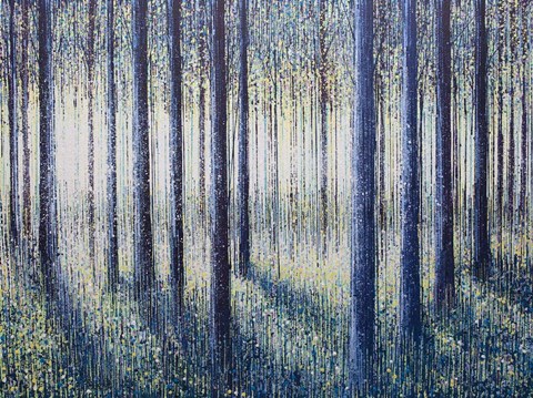 Framed Spring Light Through Forest Trees Print
