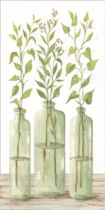 Framed Simple Leaves in Jar II Print