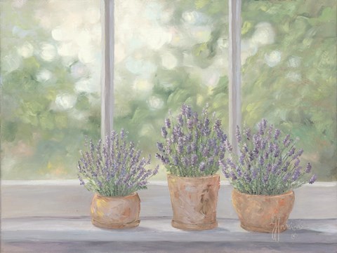 Framed Lavender Pots Print