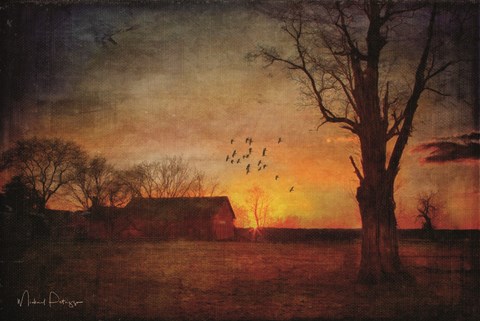 Framed Sunset on the Farm Print