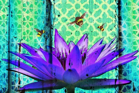 Framed Water Lilly Print