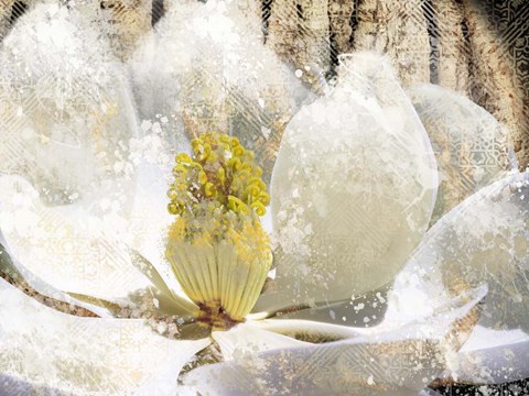 Framed Magnolia Tree Print