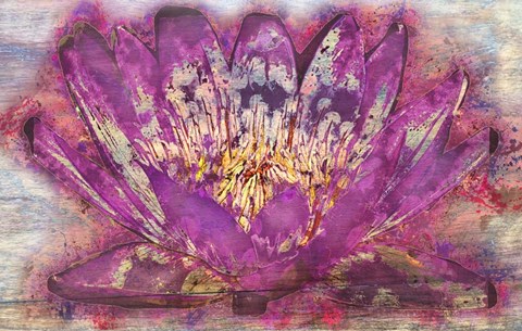 Framed Lotus 2 Print