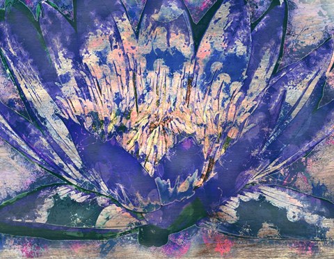 Framed Lotus 1 Print