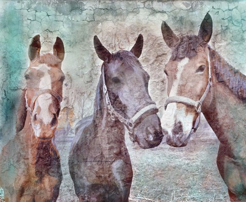 Framed 3 horses Print