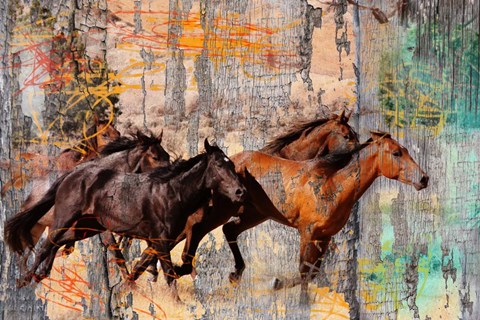 Framed Galloping Horses Print