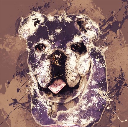 Framed Bulldog Print