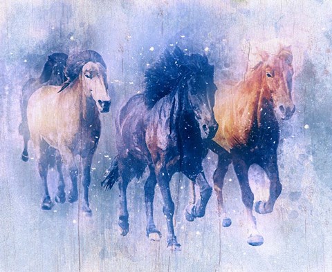 Framed Misty Morning Print