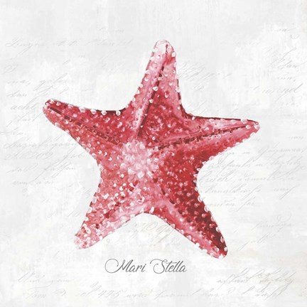 Framed Red Starfish Print