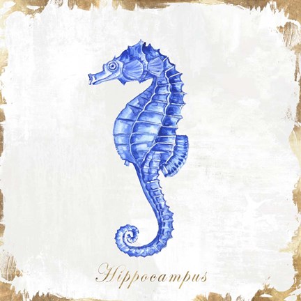 Framed Blue Sea Horse Print