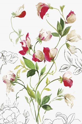 Framed Florecer II Print