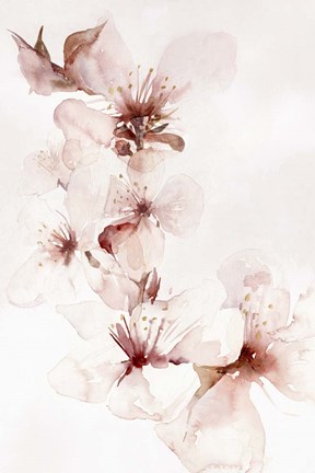 Framed Watercolor Blossoms II Print