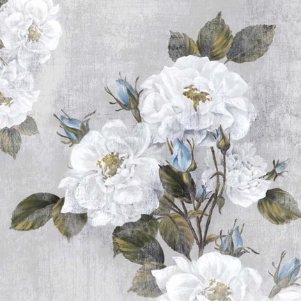 Framed Graceful III Print