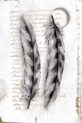 Framed Vintage Feathers I Print
