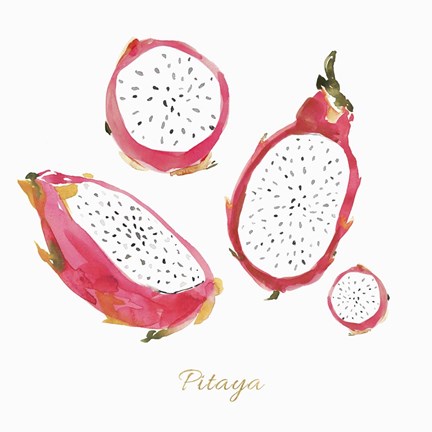 Framed Pitaya Print