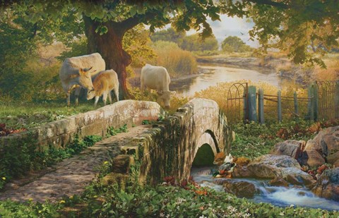 Framed Summer Solace Print