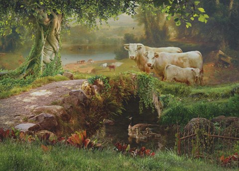 Framed We're Home Print